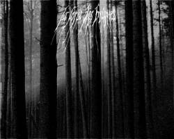 La Colline des Pendus